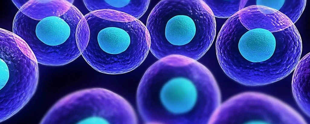 Ученые нашли клетки, помогающие бороться с пародонтитом
