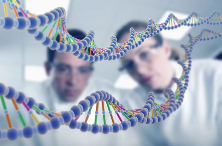 Ученые нашли 47 генов, отвечающих за здоровье зубов и десен