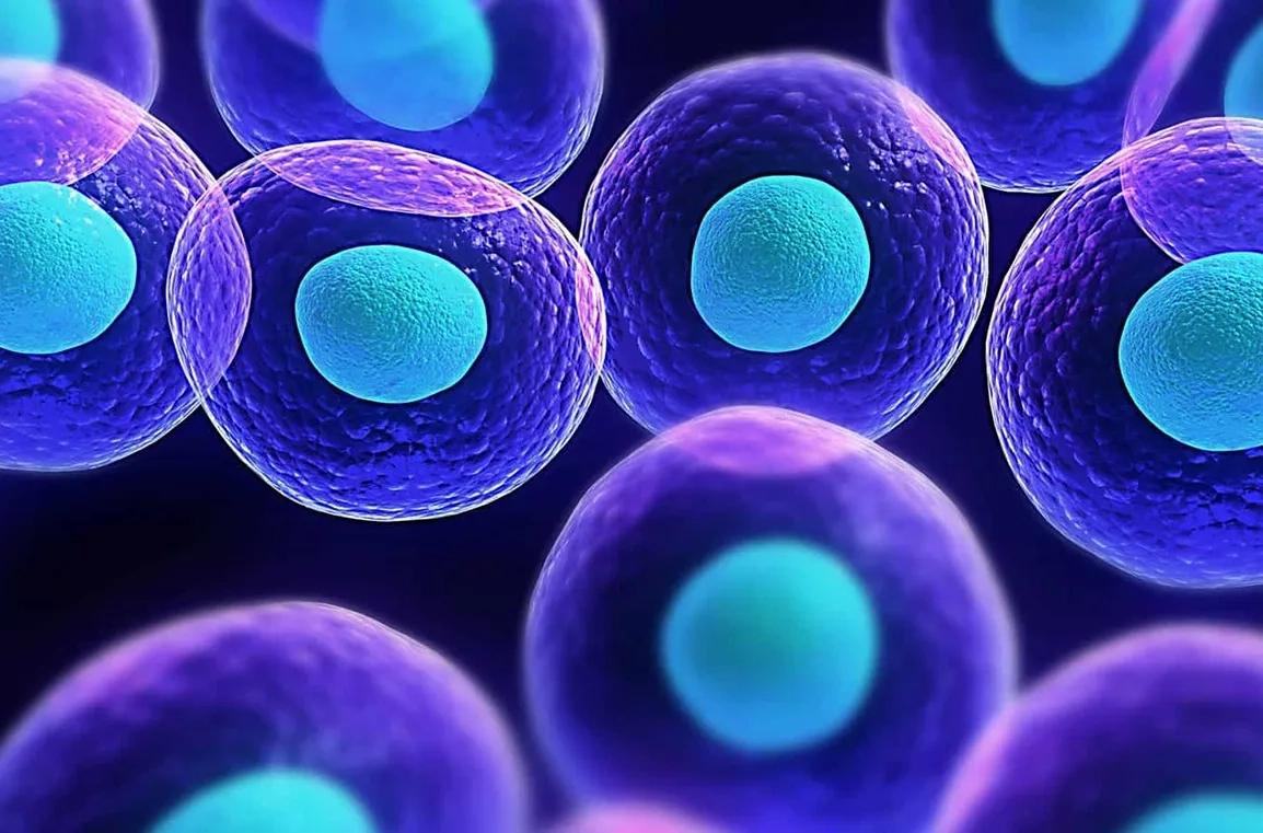 Ученые нашли клетки, помогающие бороться с пародонтитом