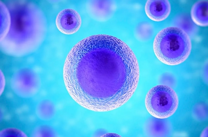 Ученые нашли клетки, ответственные за рост зубной ткани